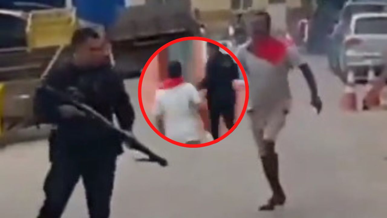 Imagen de Un coco verde, el 'héroe' que salvó a policías de ser apuñalados (video)