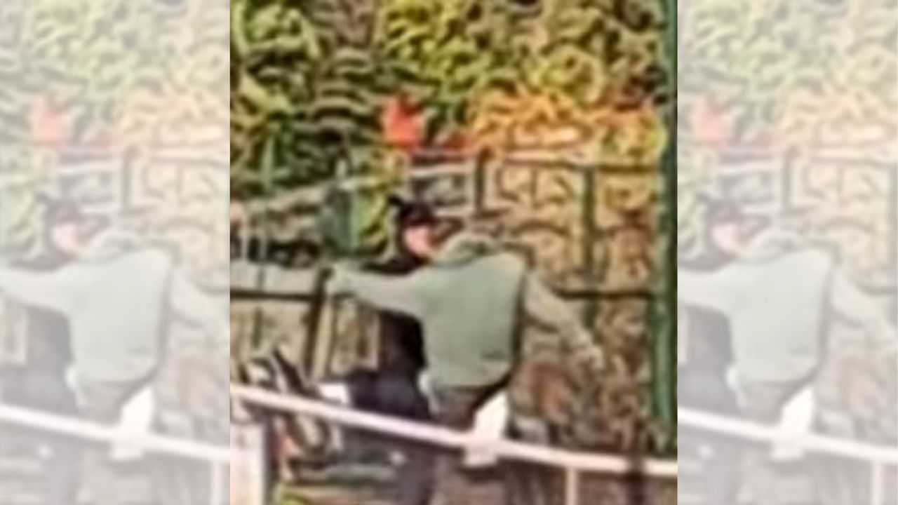 Imagen de Padre patea a su hija de 14 años por fallar en juego de tenis