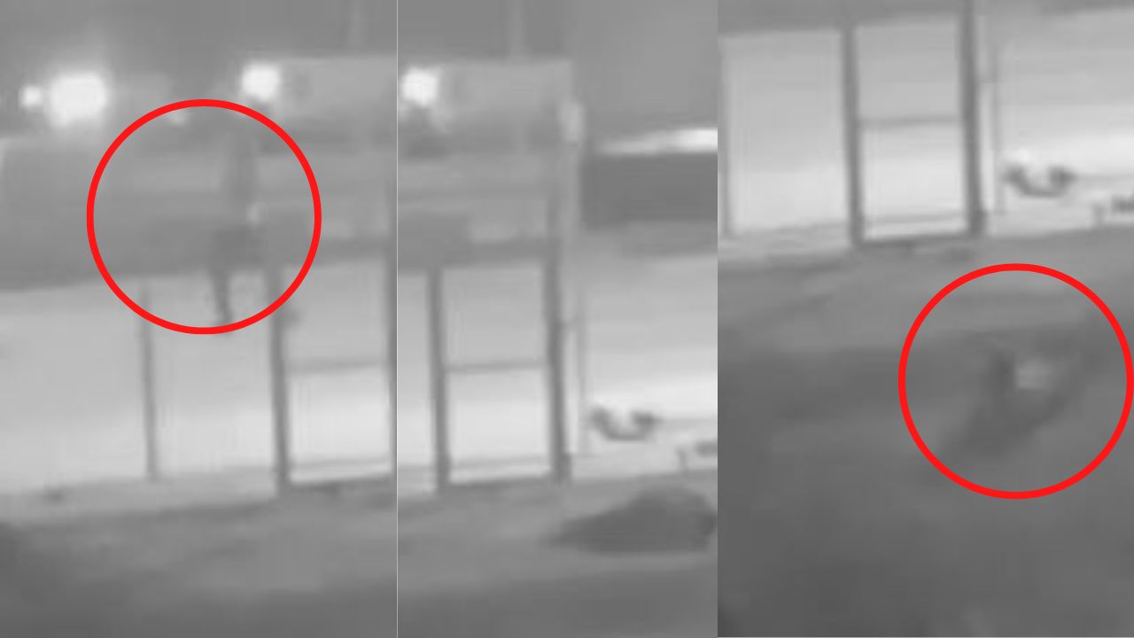 Vídeo: Ladrón muere desangrado con los vidrios de la ventana que destruyó para entrar a un local