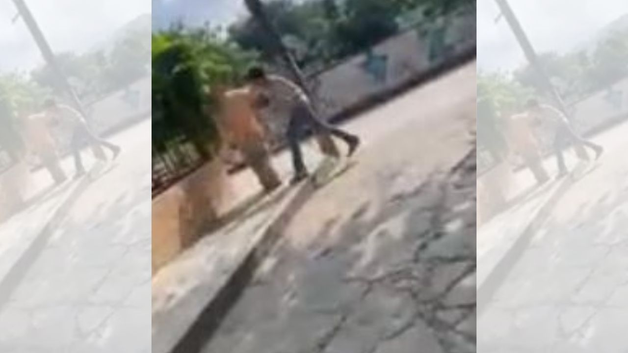 Captan a joven propinando fuerte golpiza a abuelito tras presunto reto