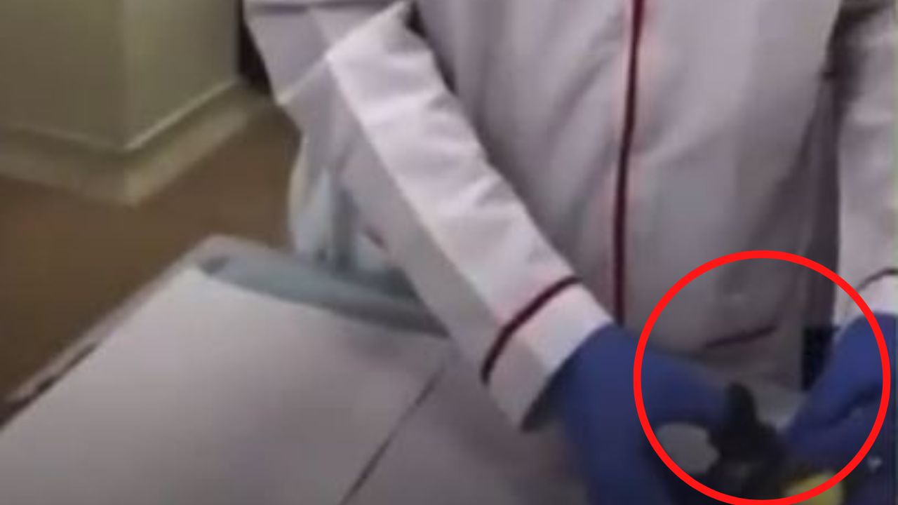 ¡Indignante! Universitario fue captado decapitando a un pollito con unas tijeras