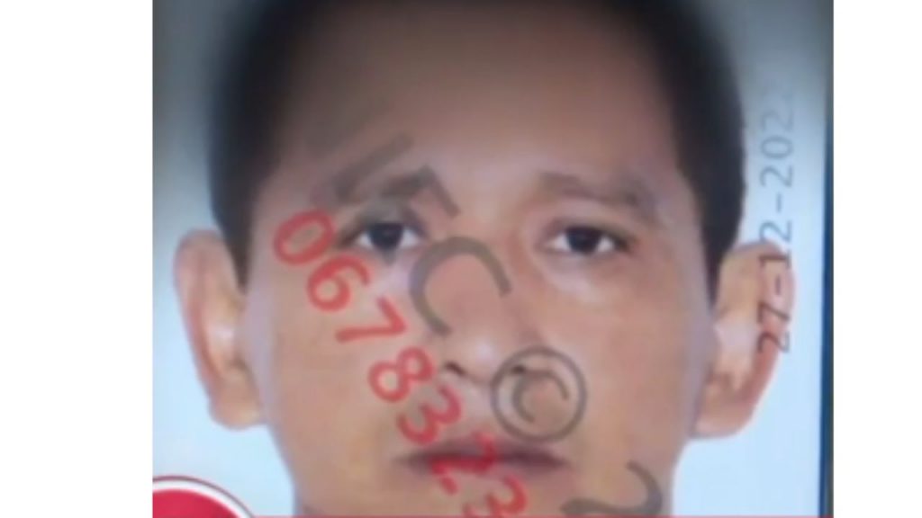 Imagen de cuerpo de nota