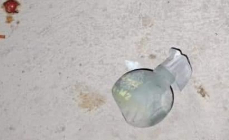 Imagen de cuerpo de nota