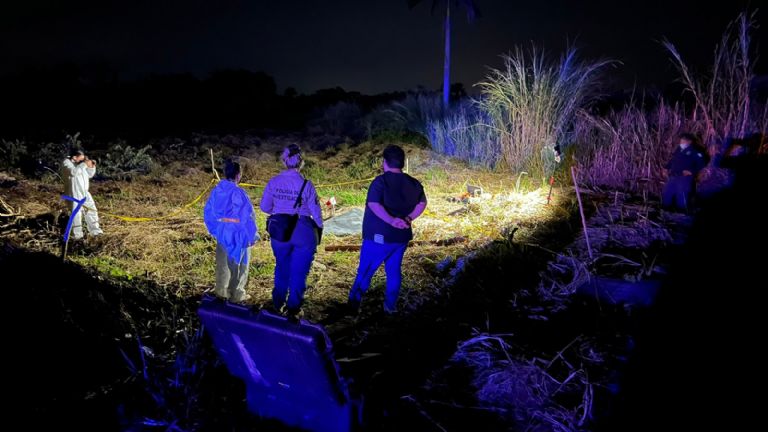 Imagen de cuerpo de nota