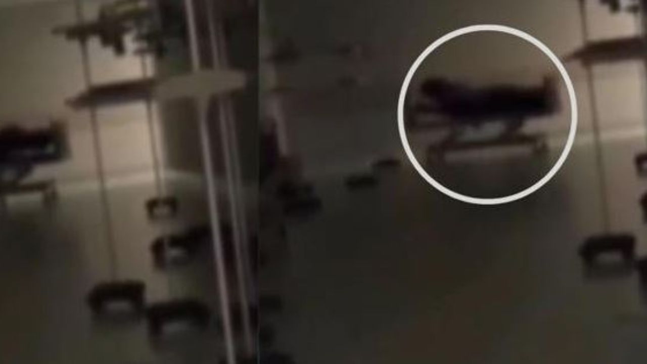 ¿Cadáver en movimiento? escalofriante video  muestra suceso en morgue de hospital