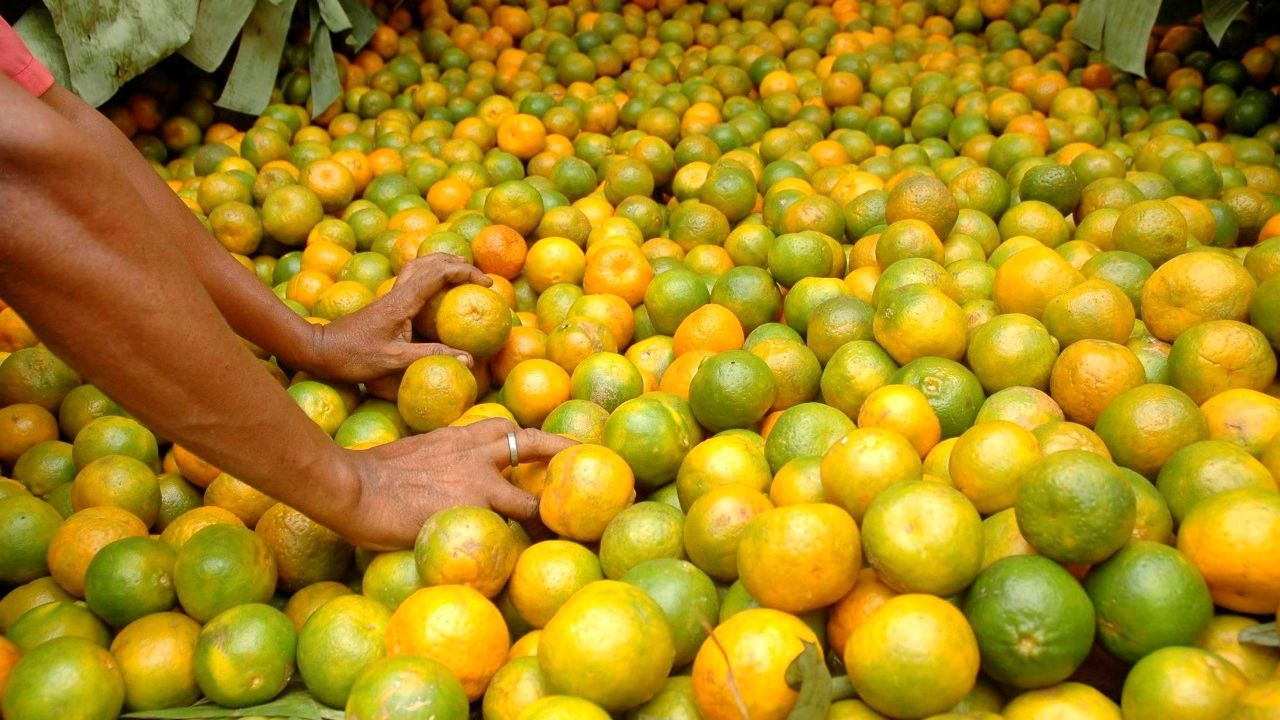 Vitamina C: Estos son los beneficios y alimentos que la poseen