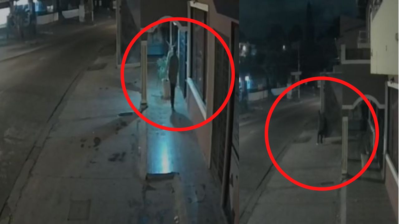 Así fue captado hondureño robando tienda en Tegucigalpa, mira con el descaro con que lo hizo