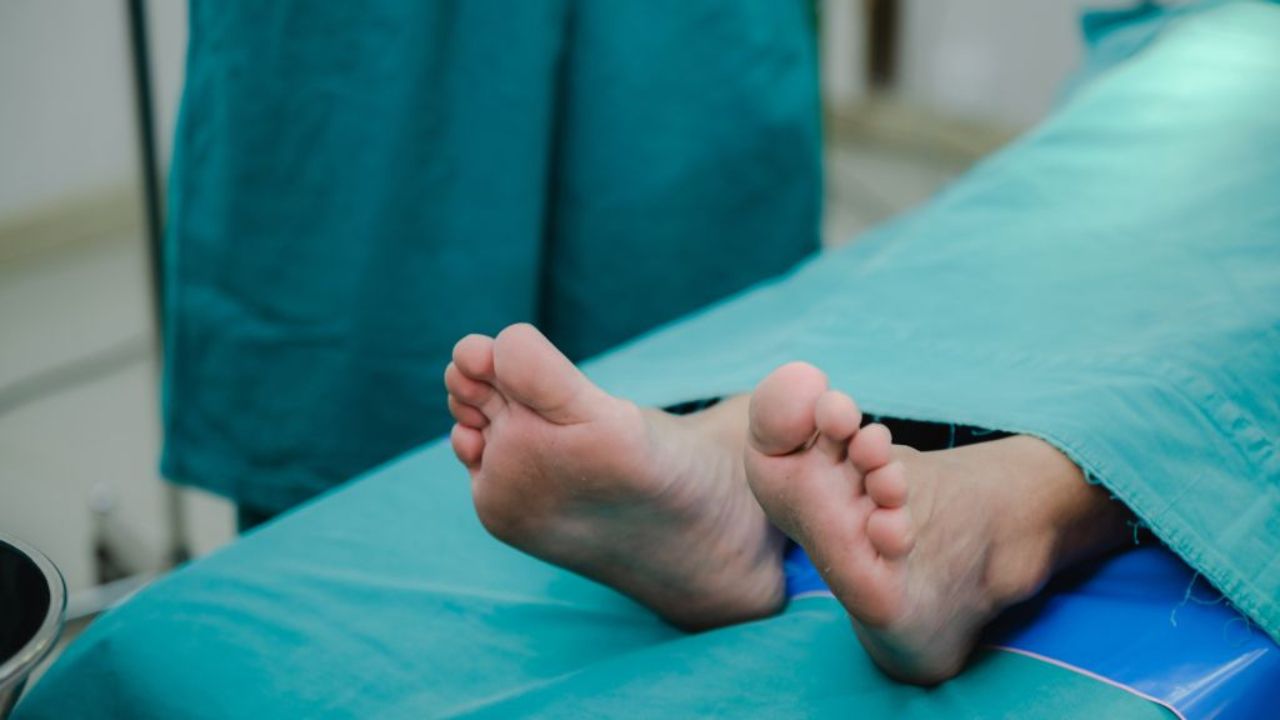 Niño de 7 años muere por rabia humana, ¿cómo y qué animales la transmiten?