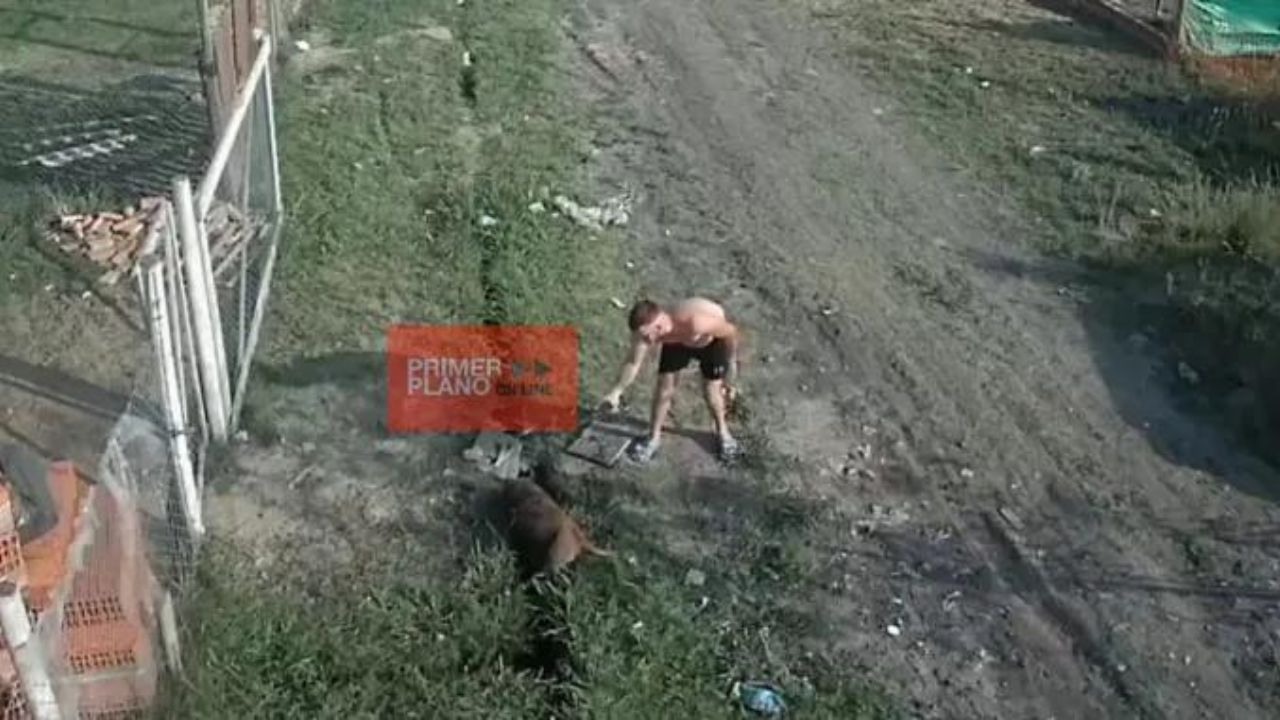 Imagen de 'Tengo balas para vos y tu marido': Hombre mató a balazos a perrito porque mordió a su mascota