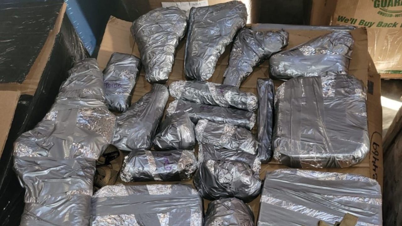 Decomisan fuerte cargamento de armas y municiones en aduana de Puerto Cortés, Honduras