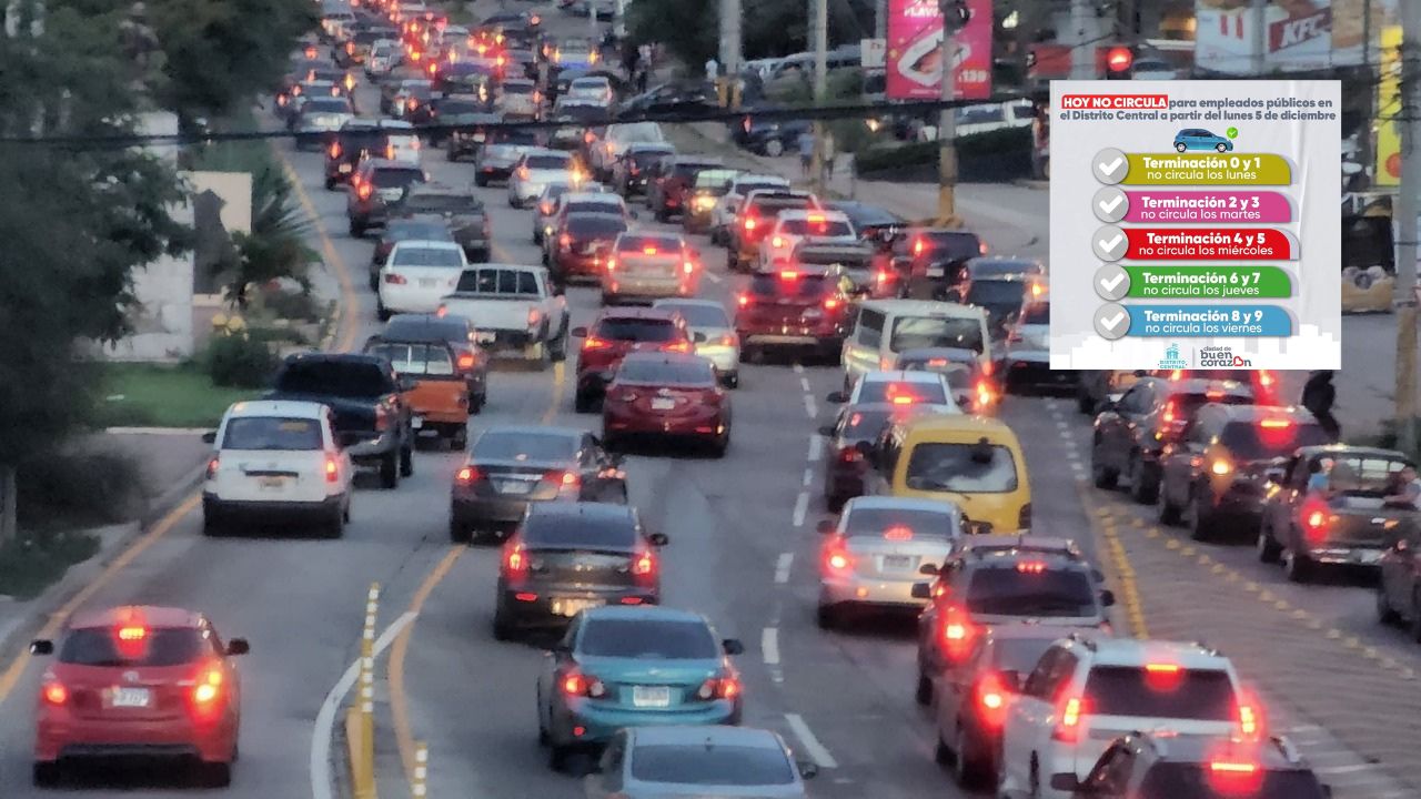 Anuncian calendario de 'Hoy No Circula' para empleados públicos