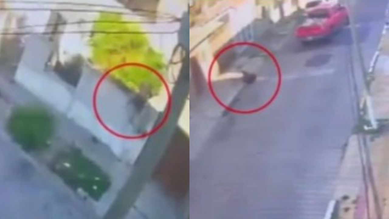 ¡Insólito! Un septuagenario mata a un ladrón mientra asaltaba su casa (vídeo)