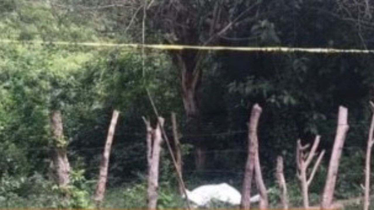 Encuentran muerto a un joven en una zona boscosa de Choloma