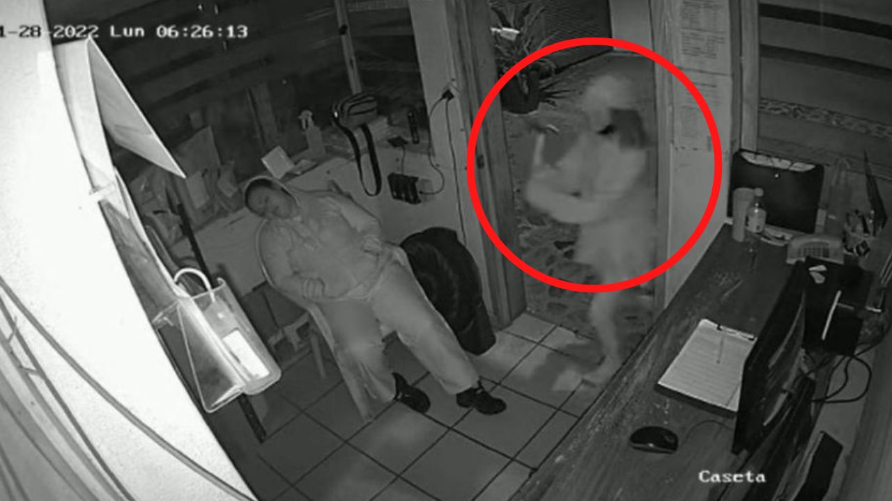 'De milagro no la mató': Mujer agarra a martillazos a guardia mientras dormía