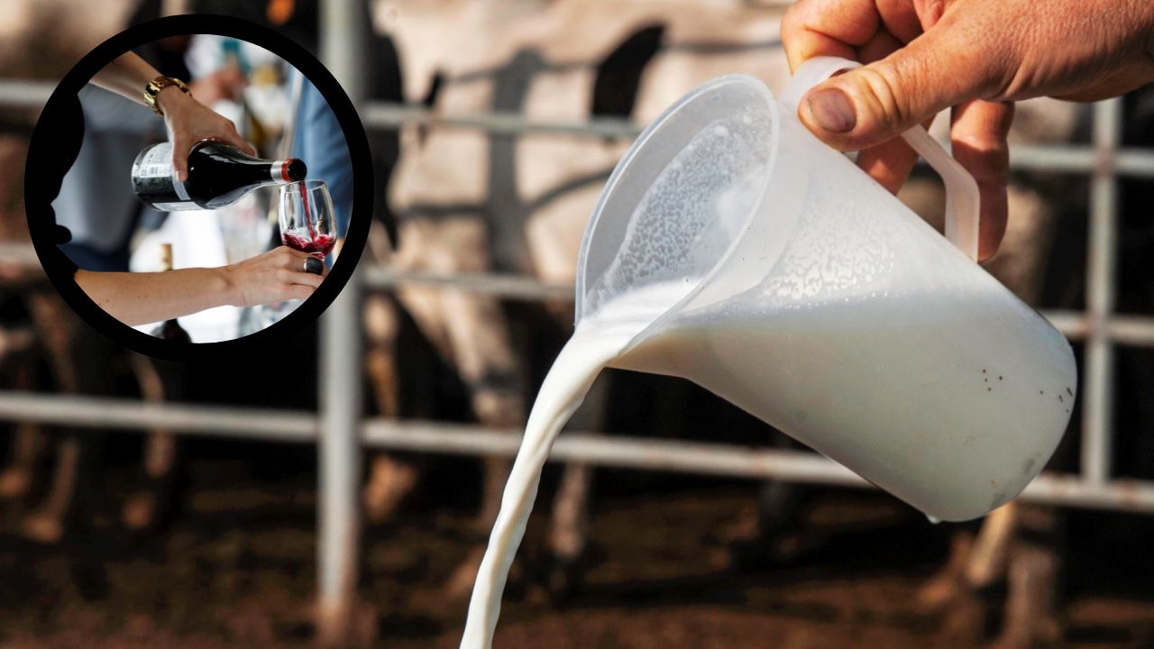 ¿Qué es la pasteurización? y ¿Cuáles son sus efectos?