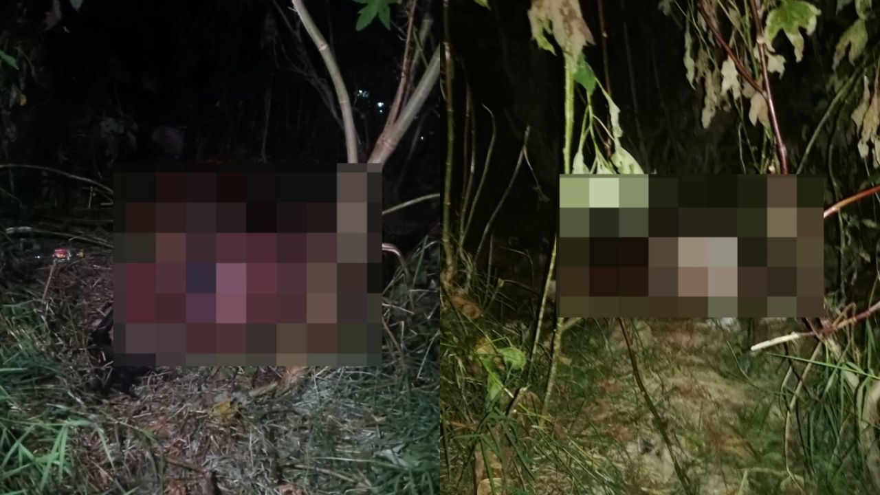 ¡Cuidado con los tamales de caballos! Encuentran matadero ilegal de equinos