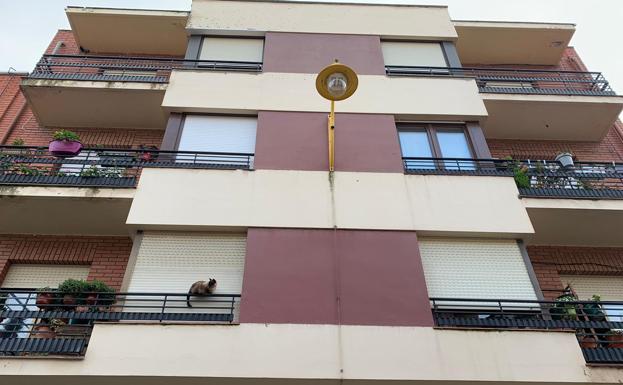 Imagen de cuerpo de nota