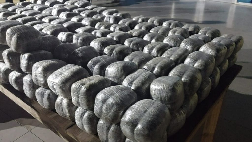 Imagen de cuerpo de nota