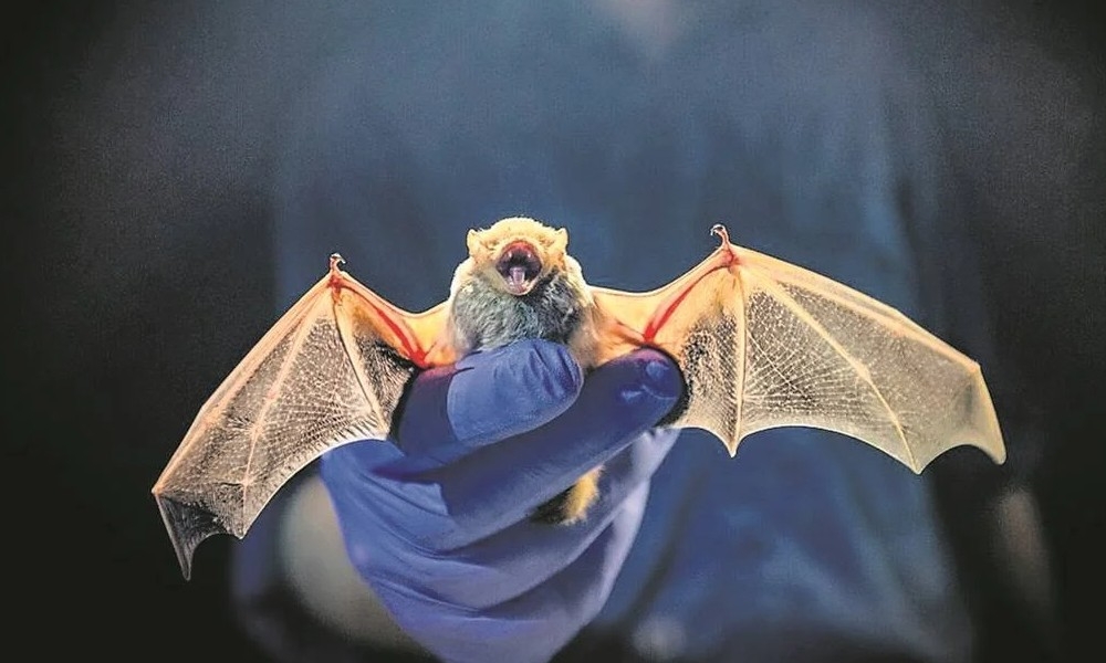 Imagen de cuerpo de nota