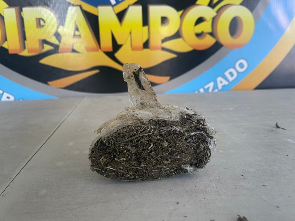 Imagen de cuerpo de nota