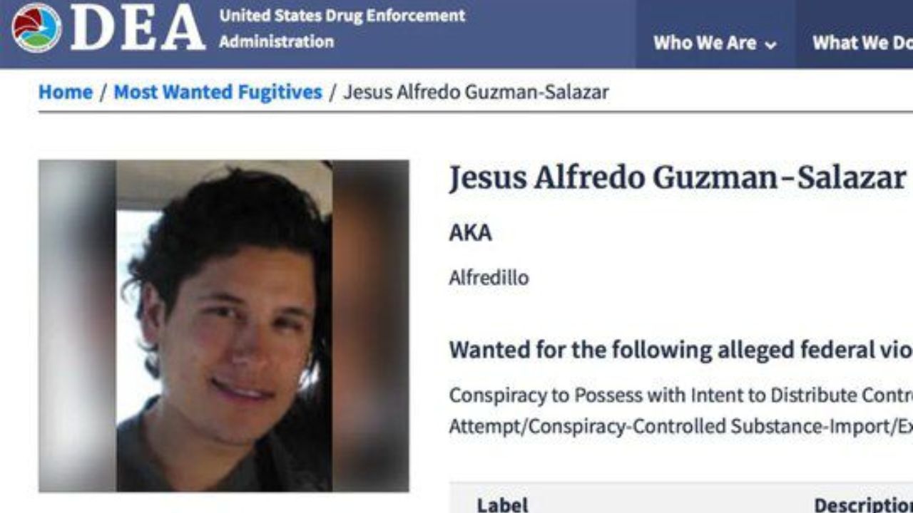 Imagen de cuerpo de nota