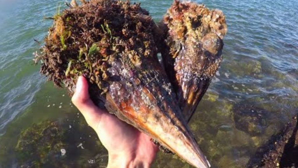 Imagen de cuerpo de nota