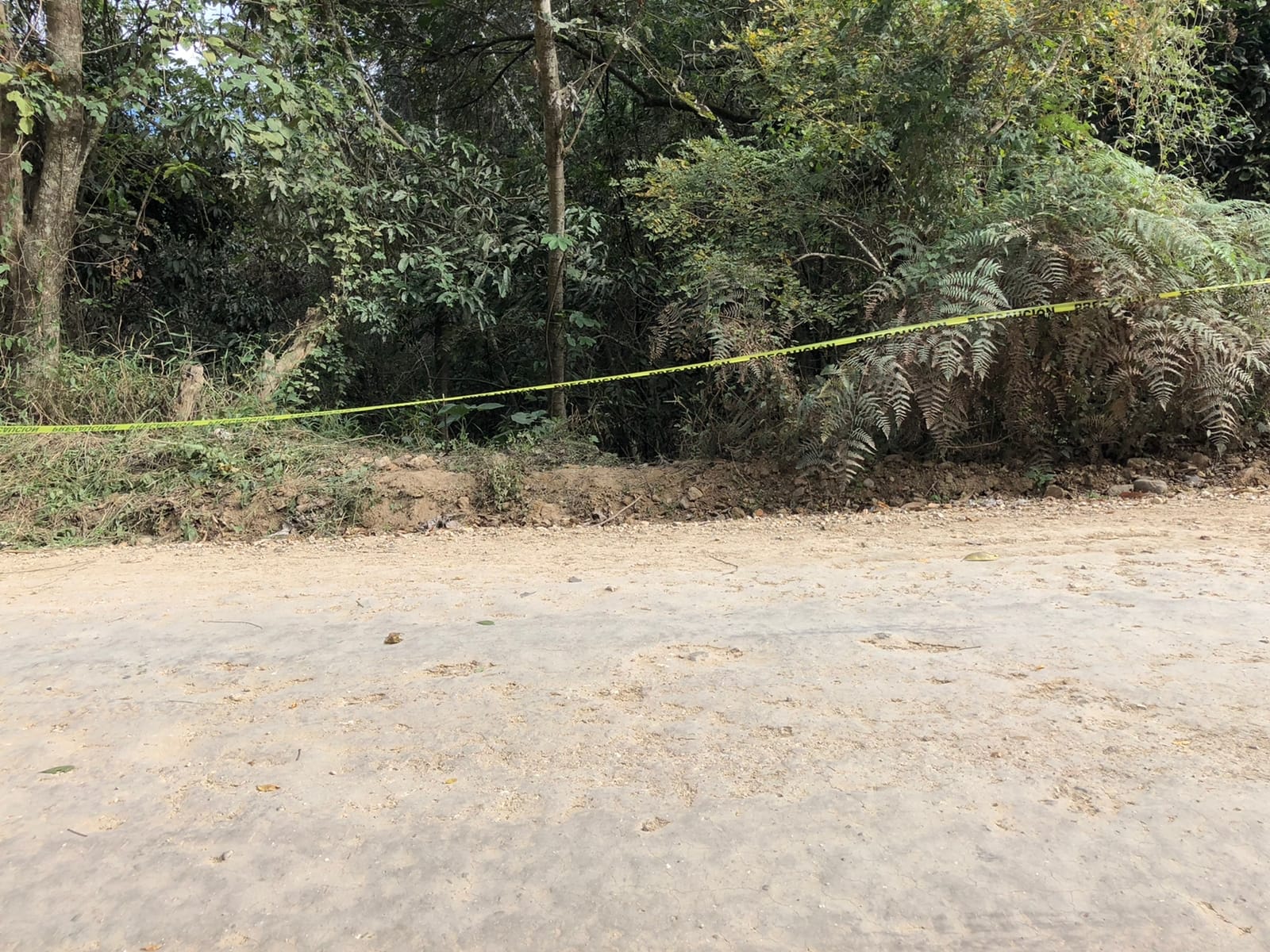 Imagen de cuerpo de nota