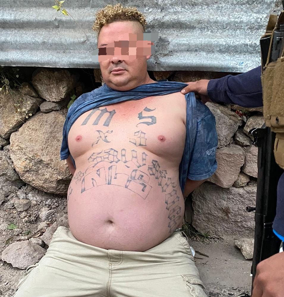 Imagen de cuerpo de nota