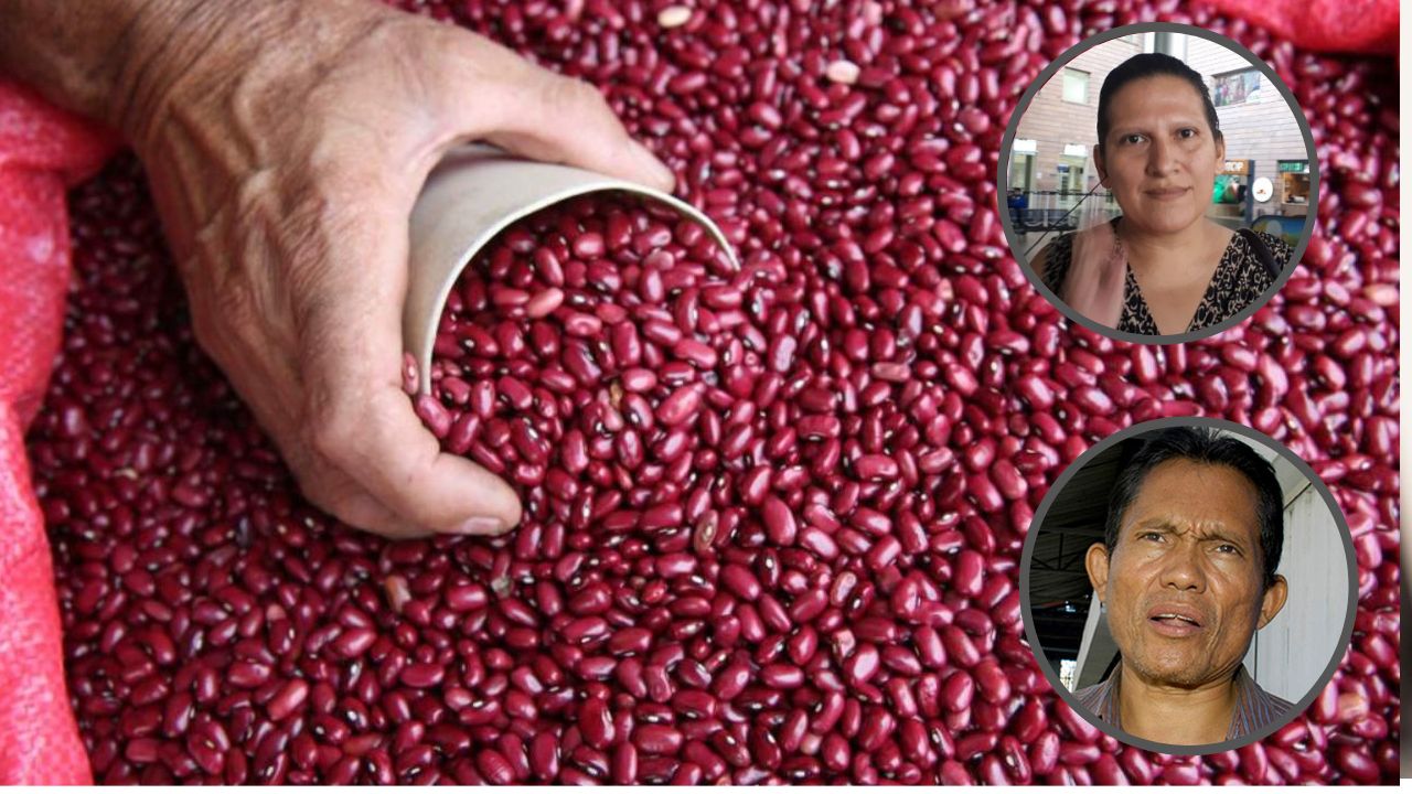 Se dispara el precio del frijol debido al alto precio de los insumos, y a las plagas