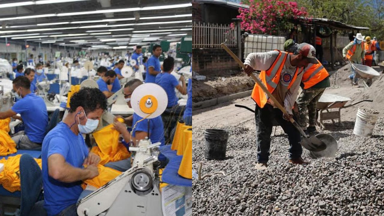 Expertos afirman que el sector privado y el gobierno deben dialogar para generar mayor empleo en Honduras