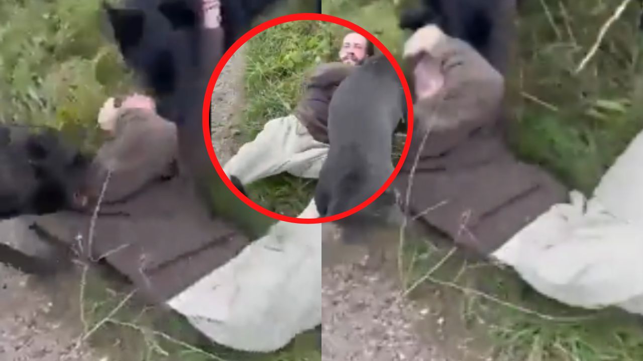 Video: Enfurecido padre se presentó con perros para atacar a supuesto pedófilo que citó a solas a su hija de 12