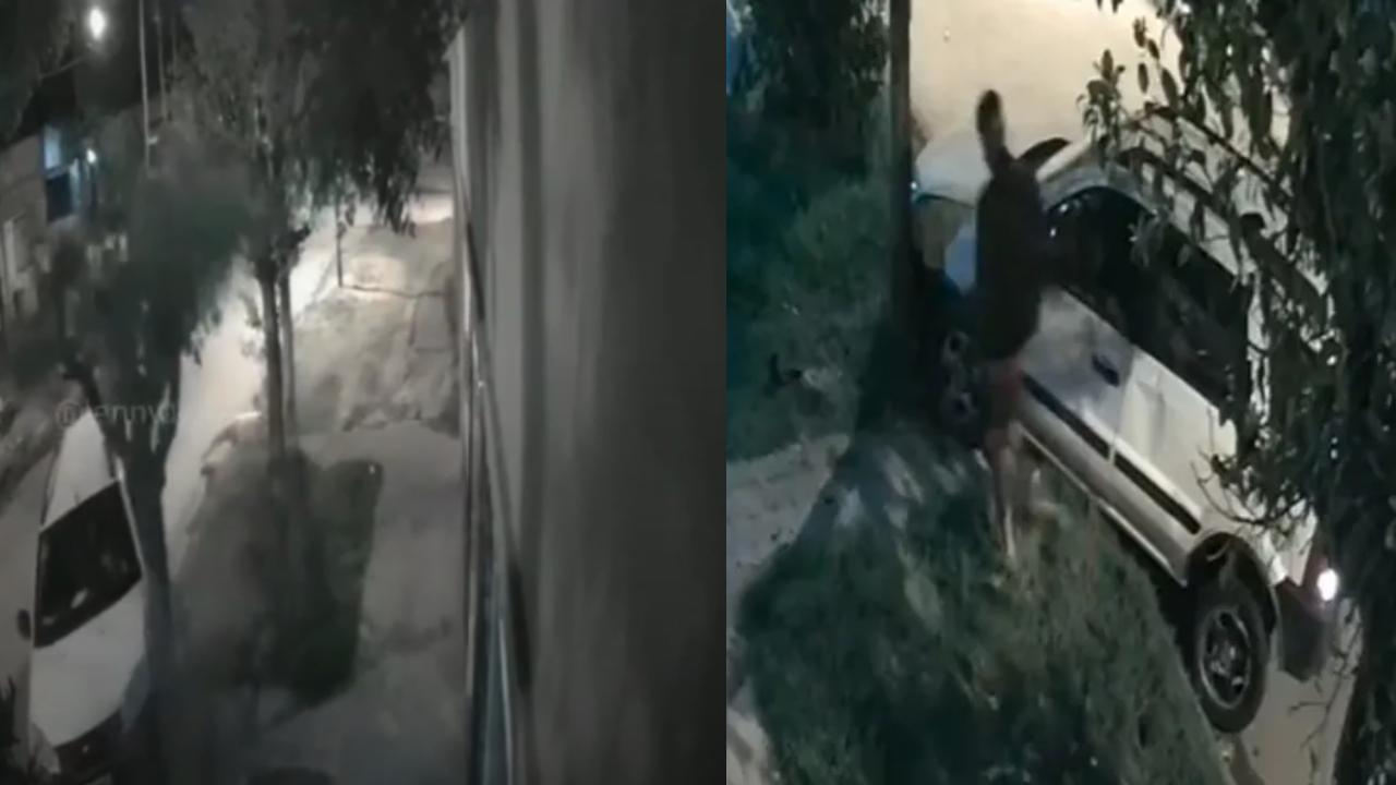 Hombre se colgó de su camioneta para evitar que se la robaran y su muerte quedó en vídeo