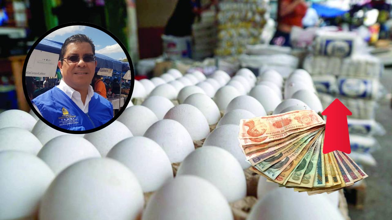 Protección al consumidor anuncia reunión con avícolas para evaluar aumento al precio del huevo