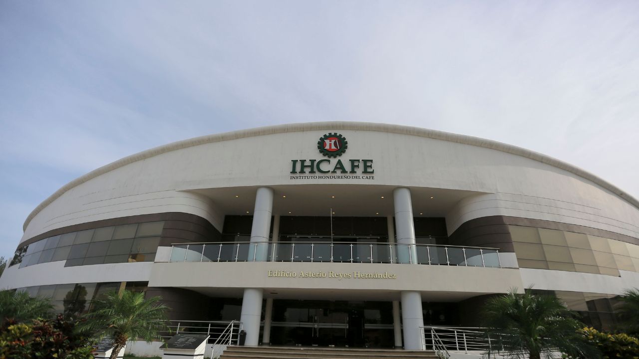 Las exportaciones de café hondureño bajan 38% en tres meses de cosecha 2022-2023