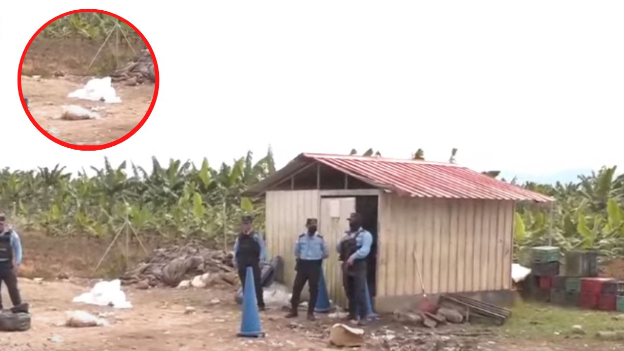 De varios impactos de bala asesinan a un joven que recogía basura en La Lima, Cortés