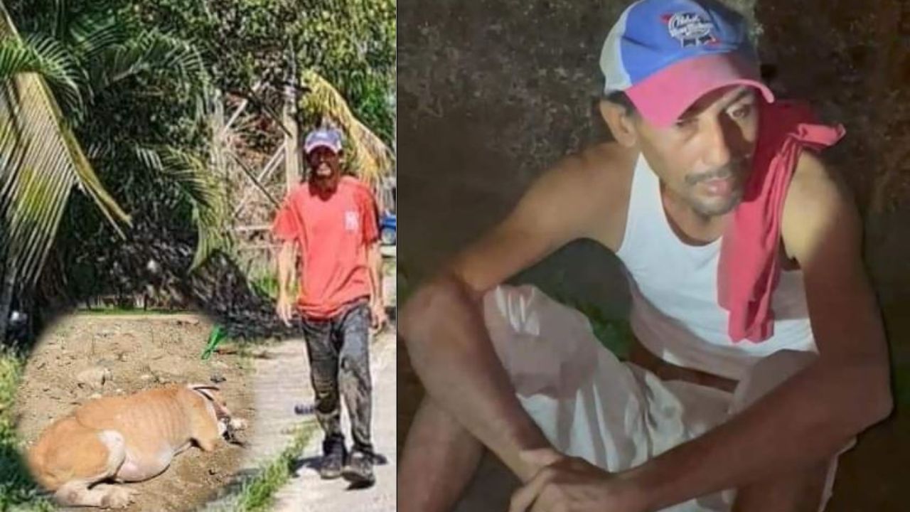 Angel, la perrita violada por hombre está en estado crítico en Puerto Cortés