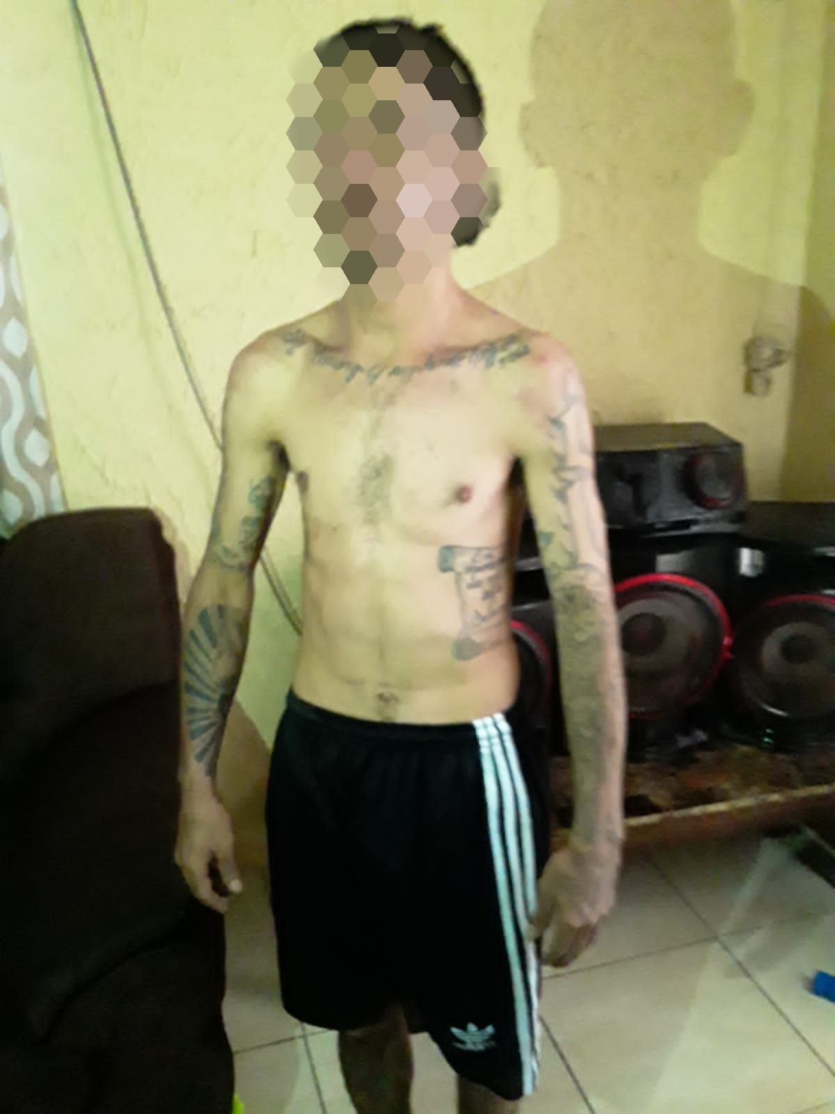 Imagen de cuerpo de nota