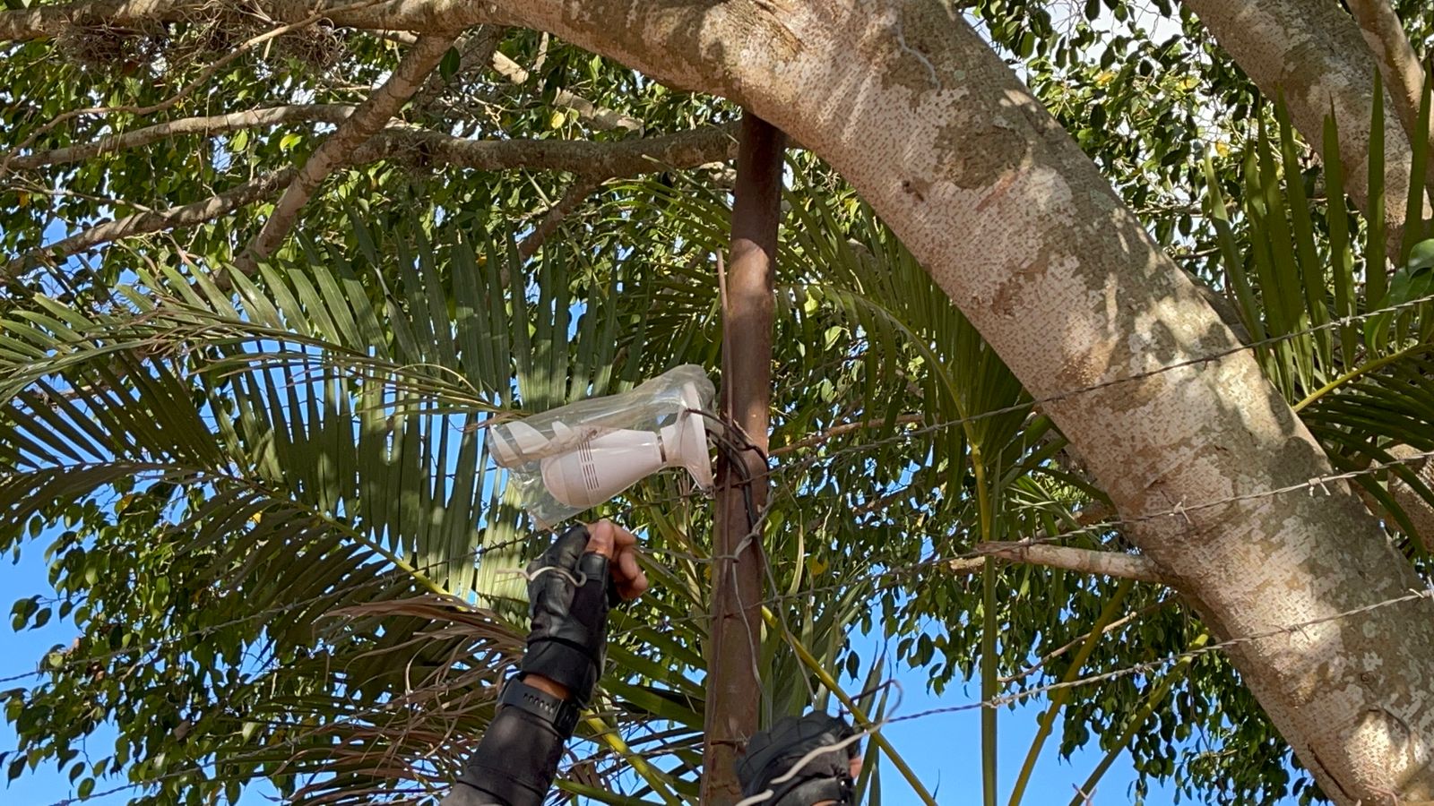 Imagen de cuerpo de nota