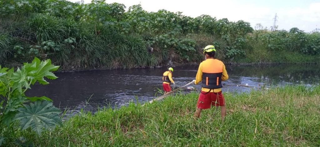 Imagen de cuerpo de nota