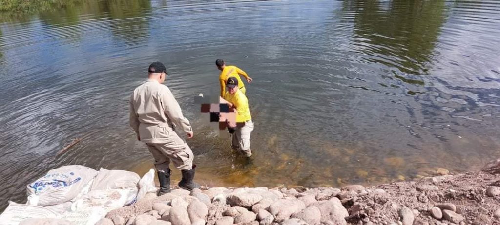 Imagen de cuerpo de nota