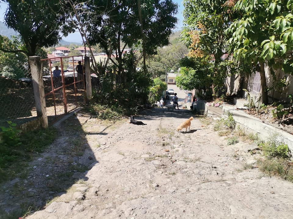 Imagen de cuerpo de nota