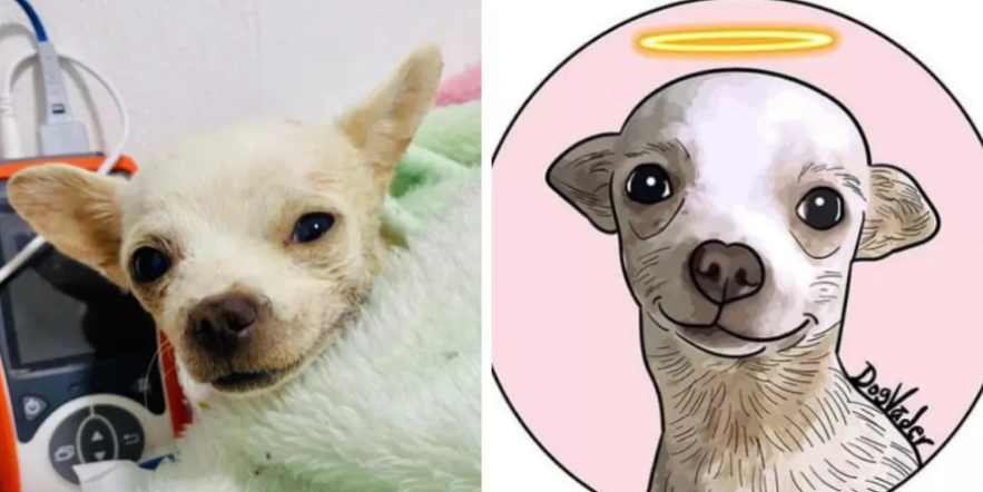 Imagen de cuerpo de nota