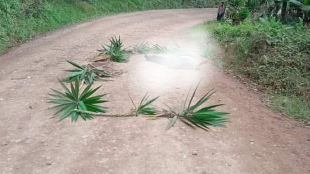 Imagen de cuerpo de nota