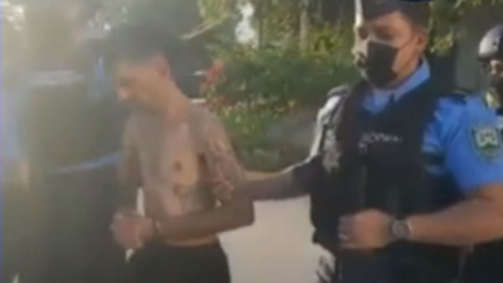 Imagen de cuerpo de nota