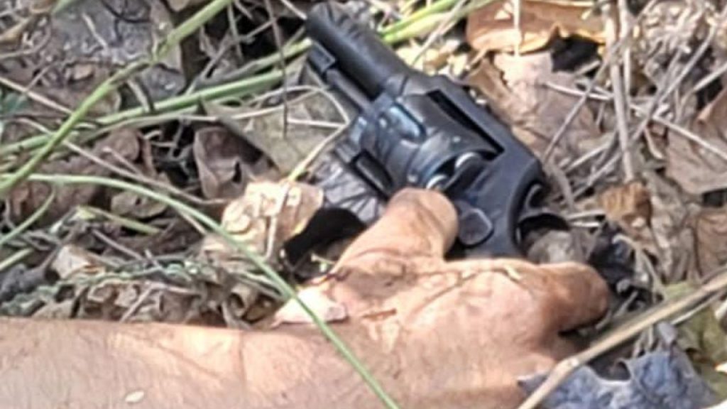 Imagen de cuerpo de nota