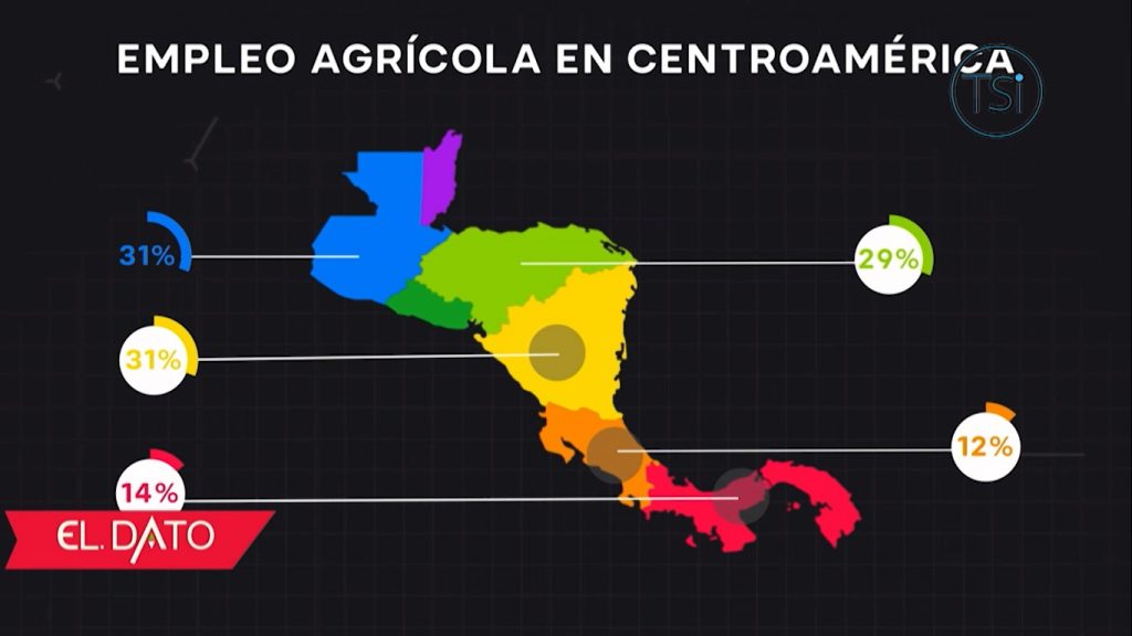 Imagen de cuerpo de nota