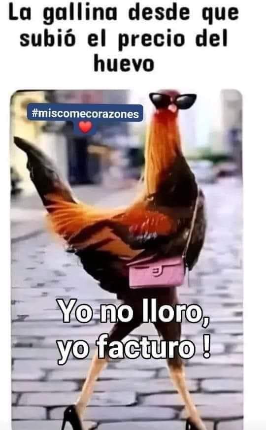 Imagen de cuerpo de nota