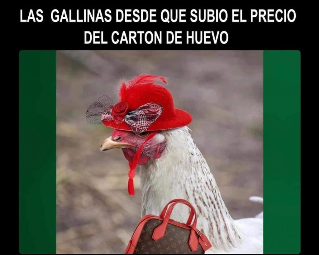 Imagen de cuerpo de nota