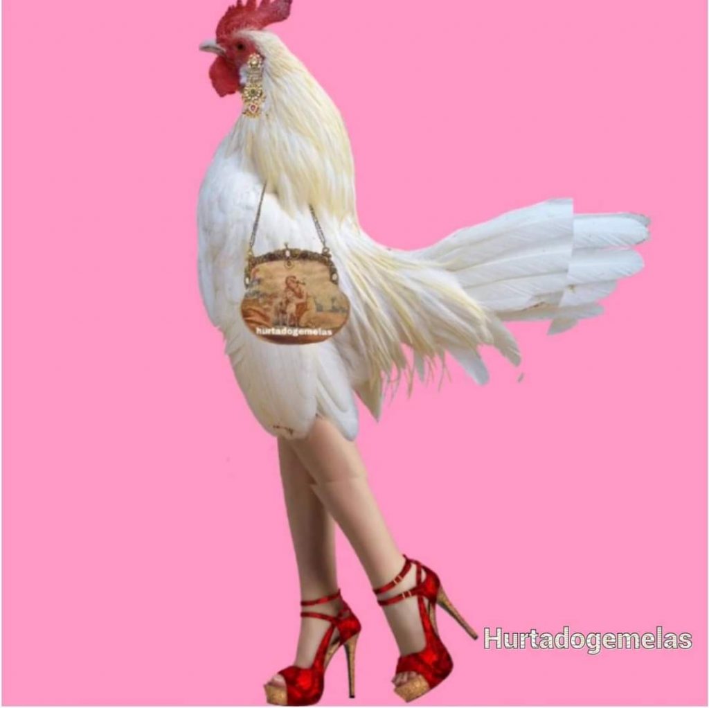 Imagen de cuerpo de nota