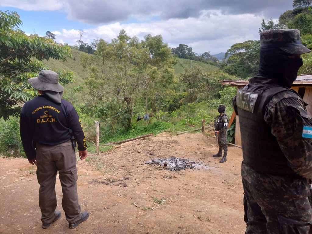 Imagen de cuerpo de nota